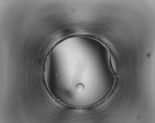 X0000094351177200711091445