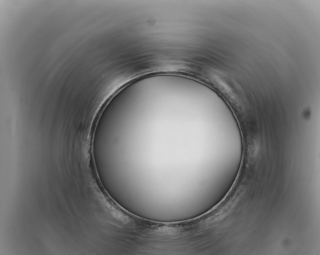 X0000094351178200711091445