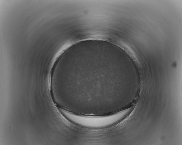 X0000094351180200711091445