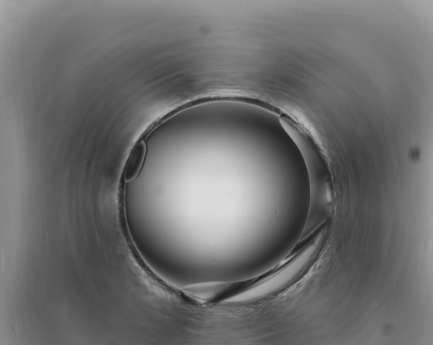 X0000094351181200711091445