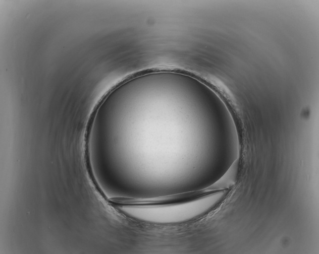 X0000094351183200711091445