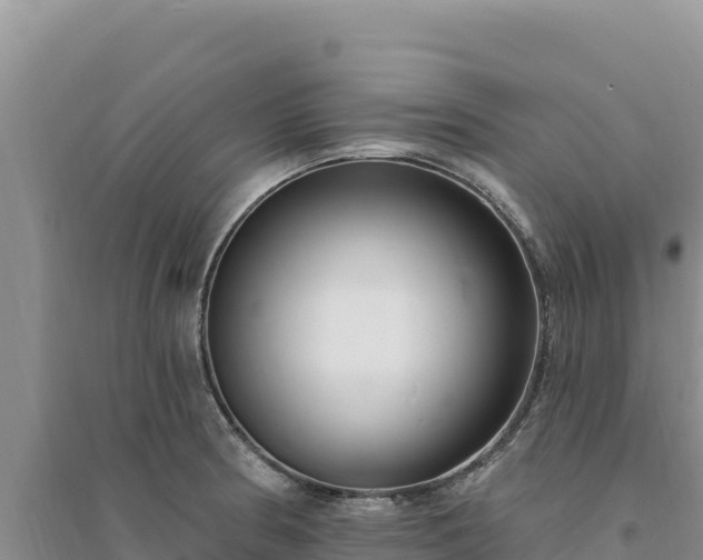 X0000094351186200711091445