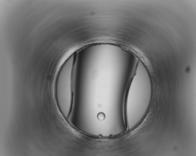 X0000094351188200711091445