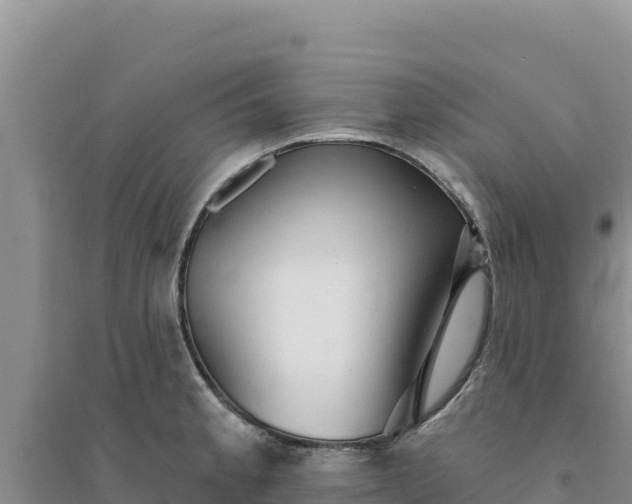 X0000094351189200711091445