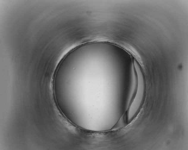 X0000094351190200711091445