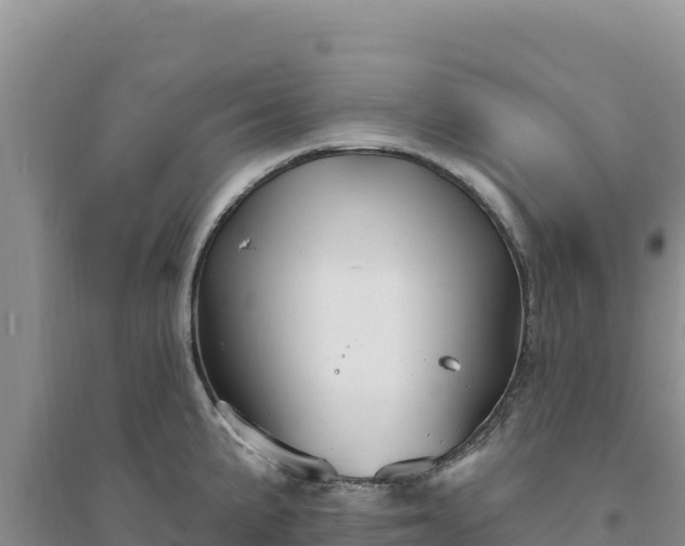 X0000094351191200711091445