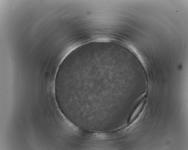 X0000094351194200711091445