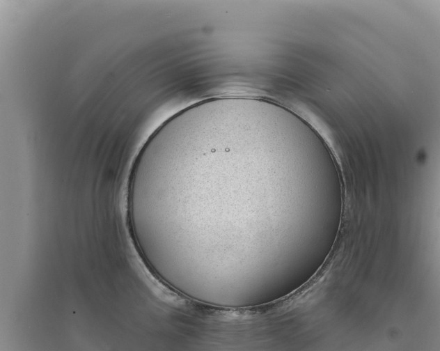 X0000094351195200711091445