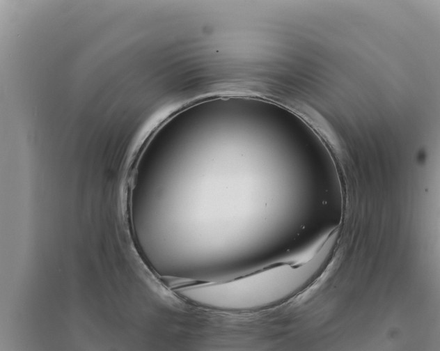 X0000094351196200711091445