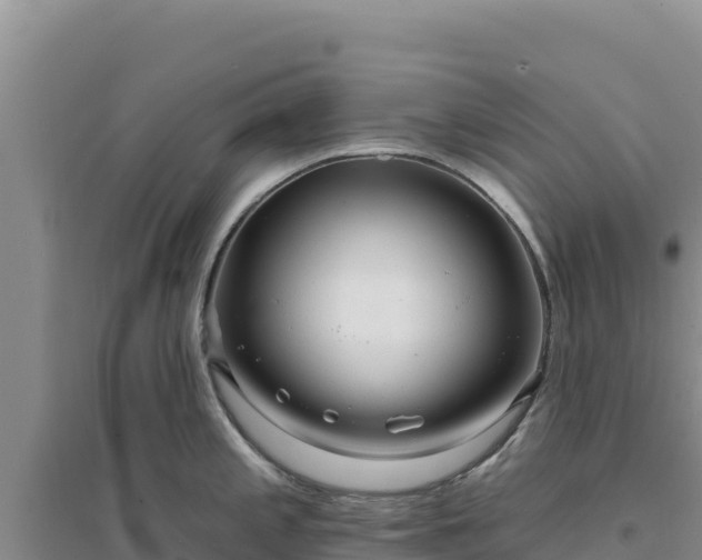 X0000094351197200711091445