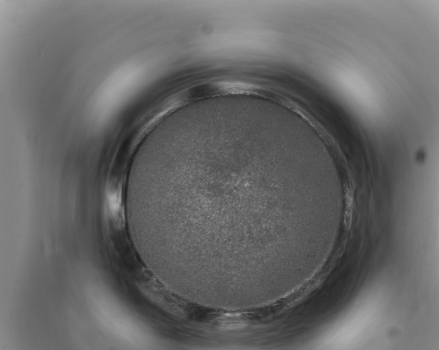 X0000094351198200711091445