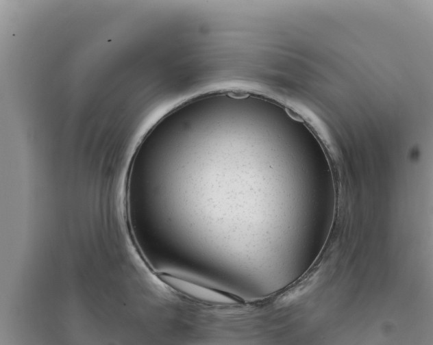 X0000094351199200711091445