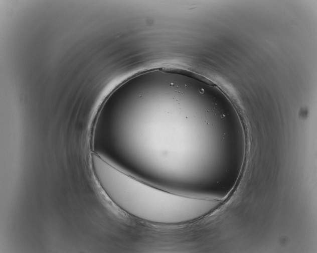 X0000094351200200711091445