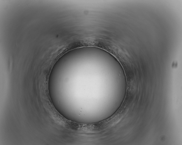 X0000094351201200711091444