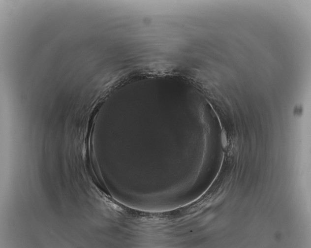 X0000094351202200711091444