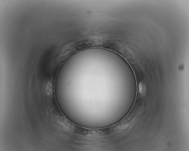 X0000094351203200711091444