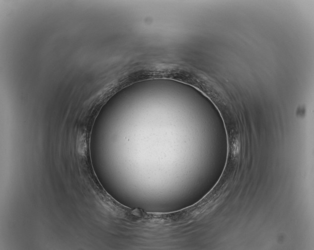 X0000094351204200711091444