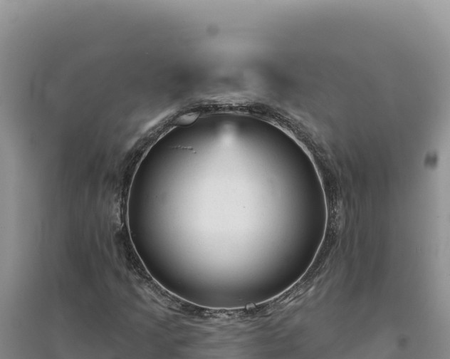 X0000094351205200711091444