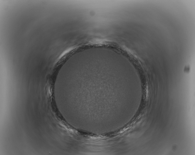 X0000094351206200711091444