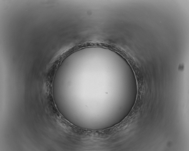 X0000094351207200711091444