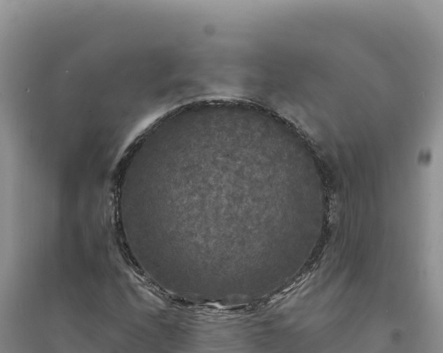 X0000094351208200711091444