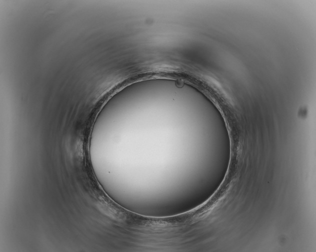 X0000094351209200711091444