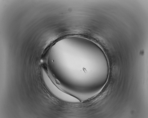 X0000094351210200711091444