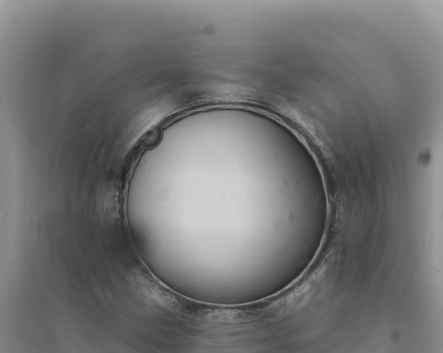 X0000094351211200711091444