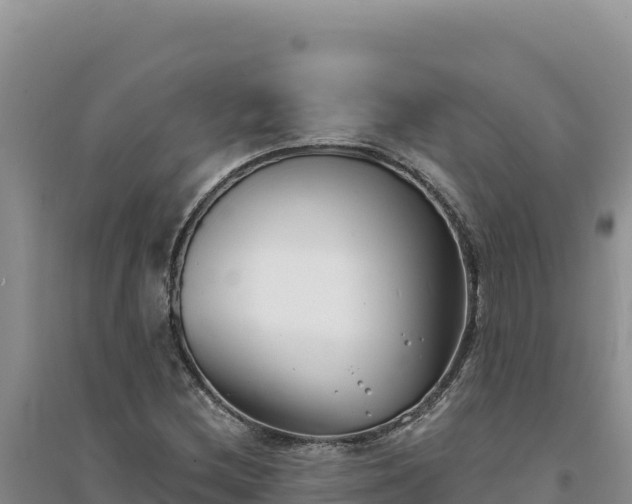 X0000094351212200711091444