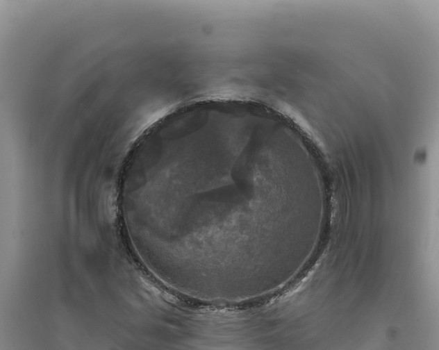 X0000094351213200711091444