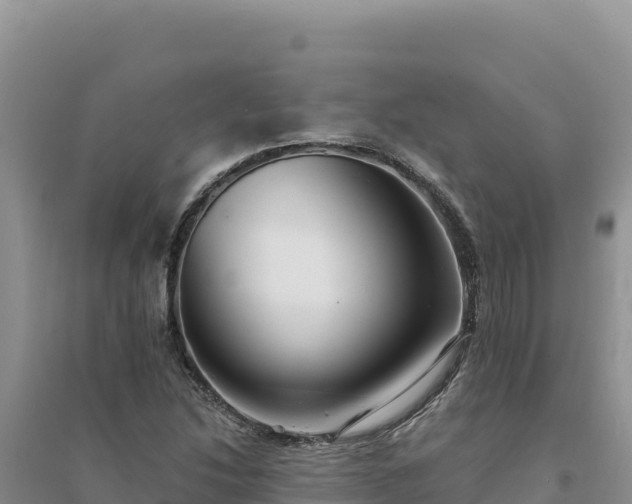 X0000094351214200711091444