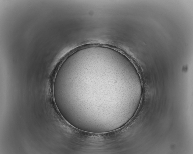 X0000094351215200711091444