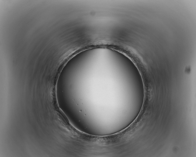 X0000094351217200711091444