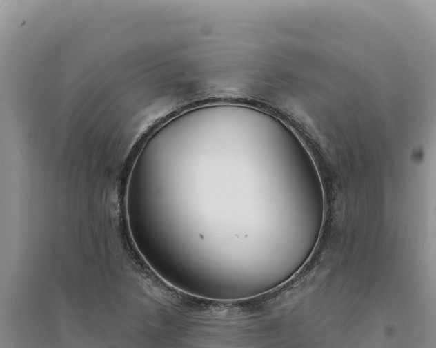 X0000094351218200711091444