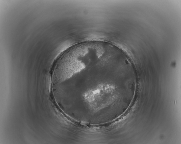 X0000094351219200711091444