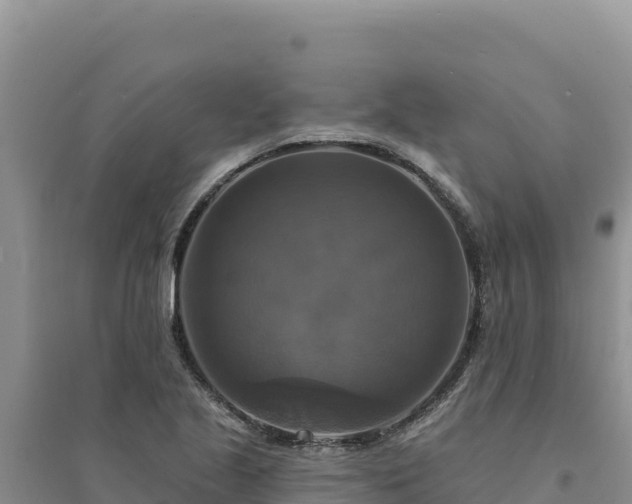 X0000094351221200711091444