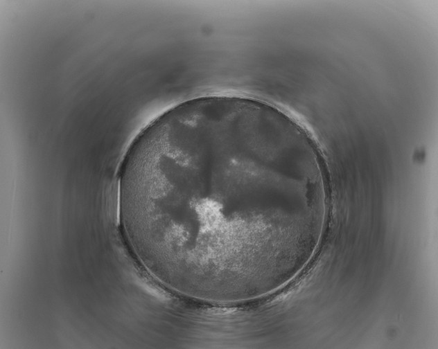 X0000094351223200711091444