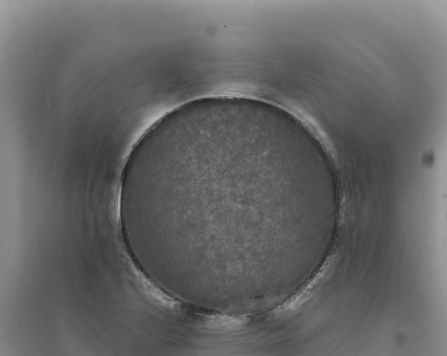 X0000094351224200711091444