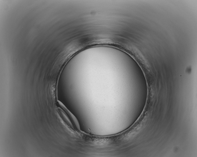 X0000094351225200711091444