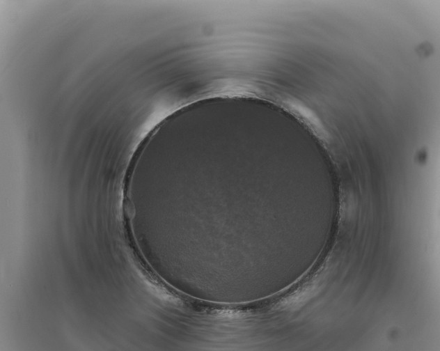 X0000094351226200711091444