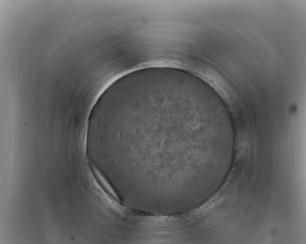 X0000094351228200711091444