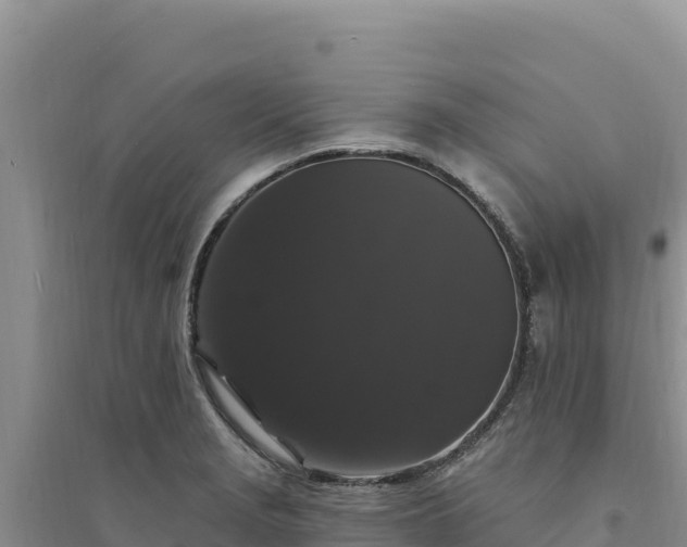 X0000094351229200711091444