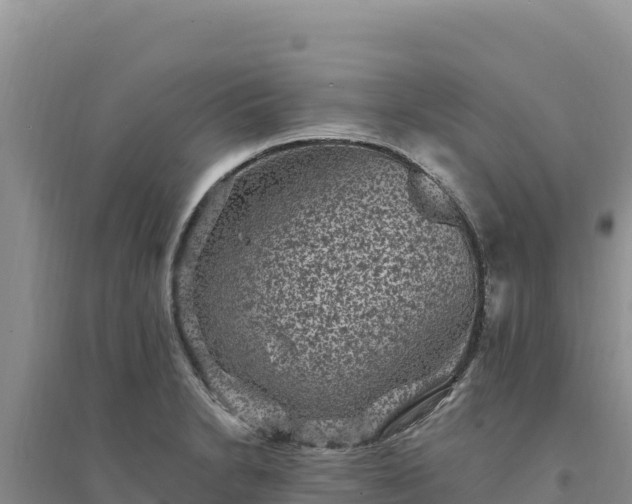 X0000094351230200711091444