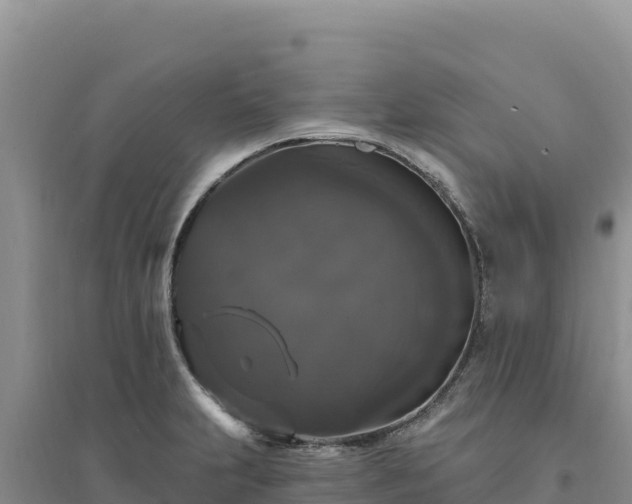 X0000094351231200711091444