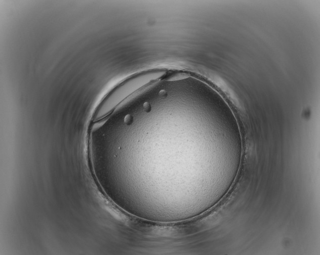 X0000094351232200711091444