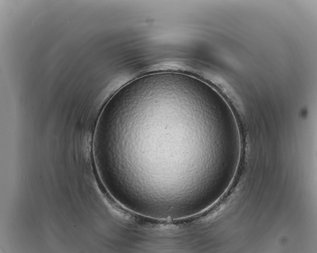 X0000094351233200711091444