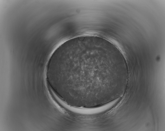 X0000094351235200711091445