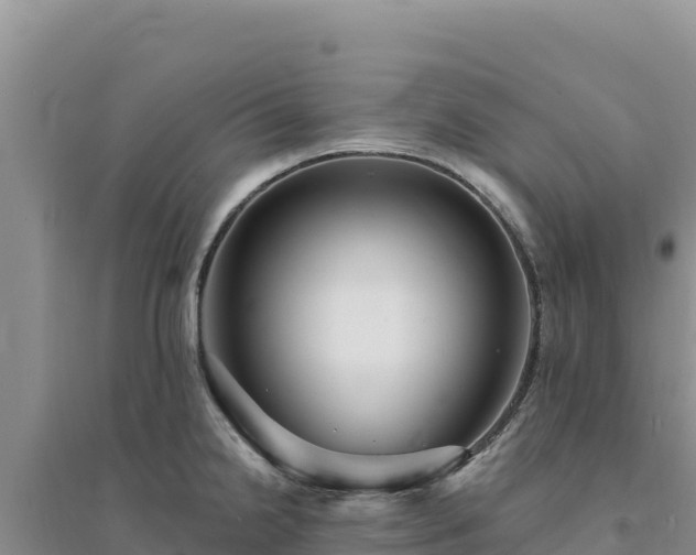 X0000094351238200711091445