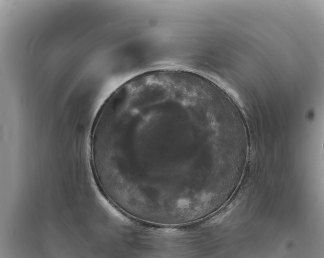 X0000094351239200711091445