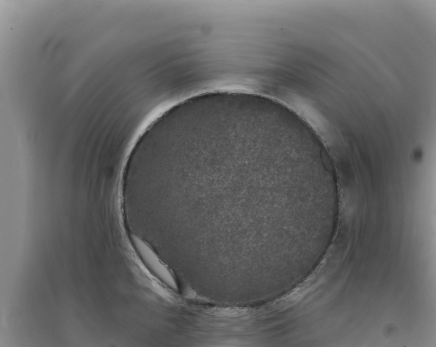 X0000094351240200711091445